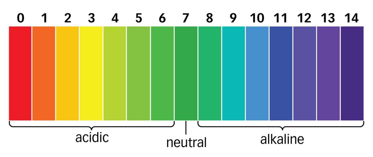 how-to-increase-decease-ph-in-your-aquarium-chibi-aquarium